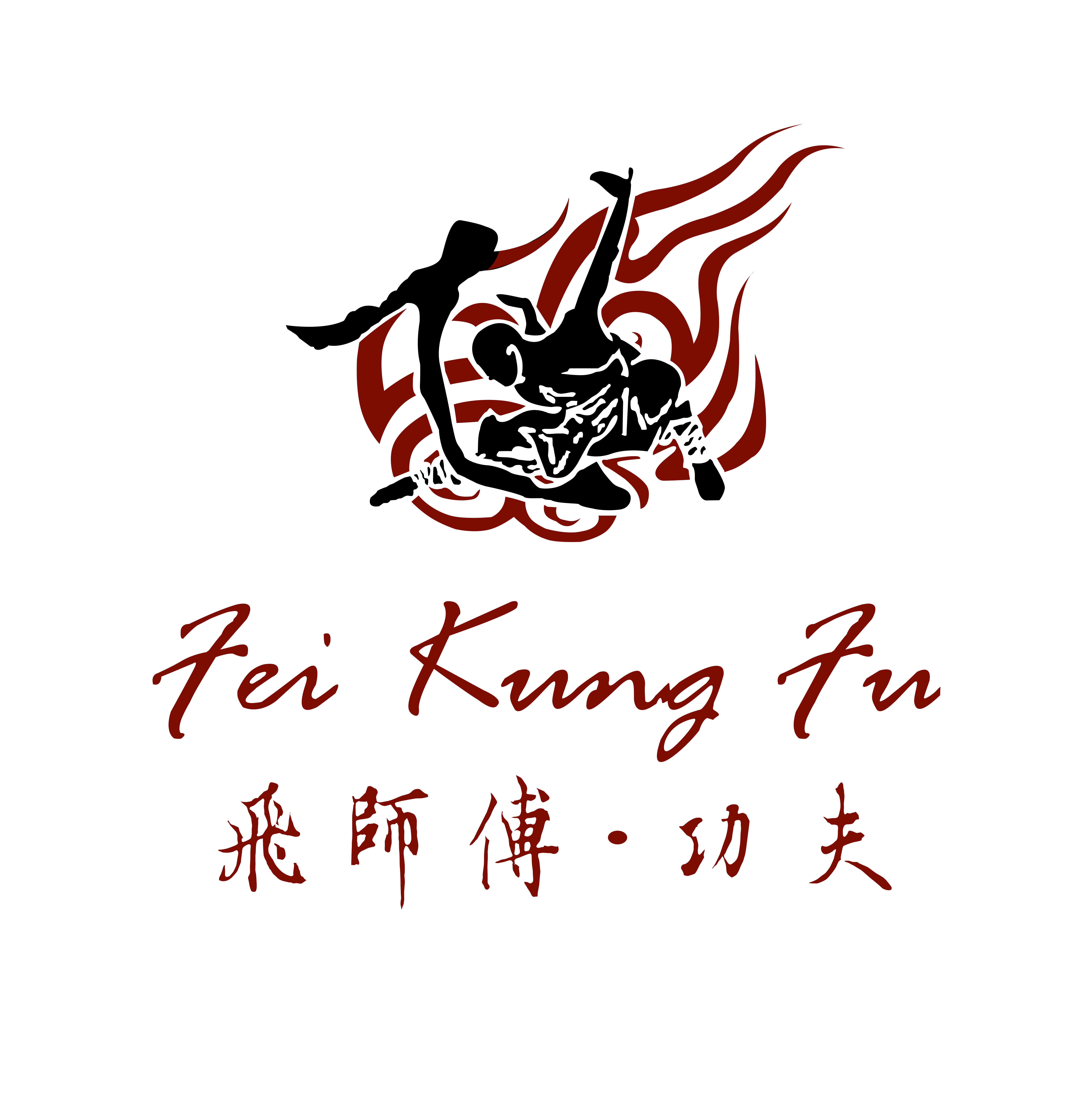 飞师傅功夫-Master Fei's Kung Fu-飞腾双语学校-Feiteng After School